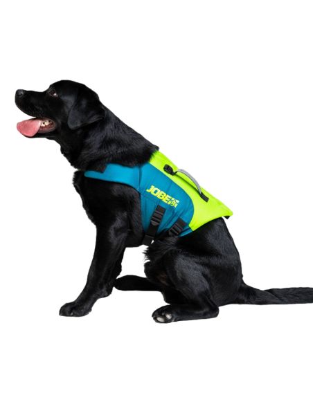 Jobe Gilet de sauvetage pour Chiens Sarcelle Citron Vert