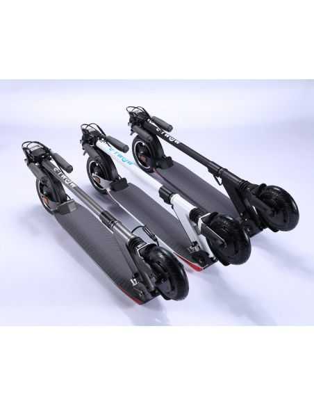 E-TWOW GTS Premium 48V 9.6AH