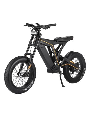 Vélo électrique Vsett Eagle 48V 20Ah