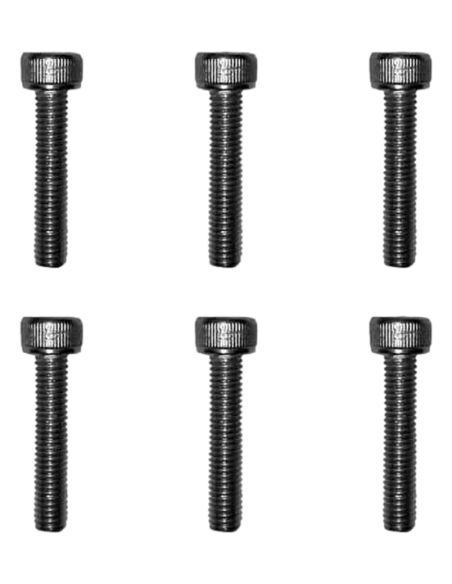 Vis jantes moteurs Dualtron sauf Mini X6 pcs