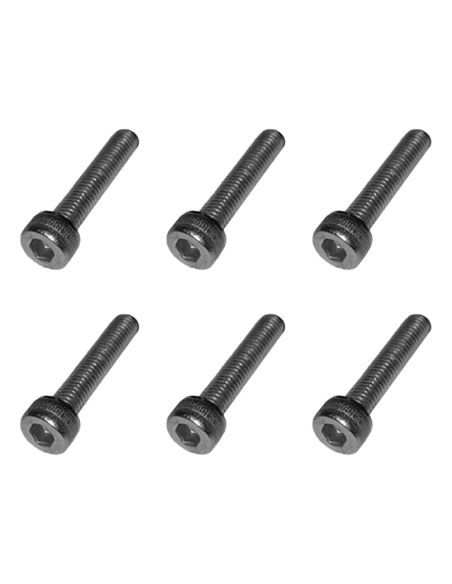 Vis jantes moteurs Dualtron sauf Mini X6 pcs
