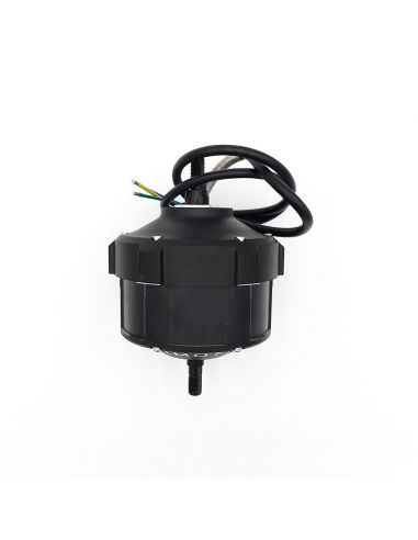 DUALTRON THUNDER | MOTEUR AVANT & ARRIERE