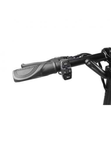 DUALTRON Aminia Special 52V 13AH / 17,5 AH Trottinette électrique