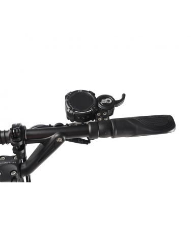 DUALTRON Aminia Special Double-moteur 52V 15,6AH / 21AH Trottinette électrique