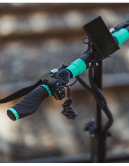 MiniWalker Tiger 8 Lite 36V 15,6Ah Trottinette électrique