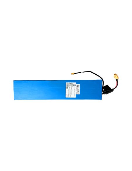 Batterie Z8 36V 10,5Ah 
