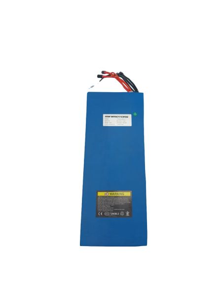 Batterie Dualtron VICTOR& VICTOR LUXURY 60V 30AH