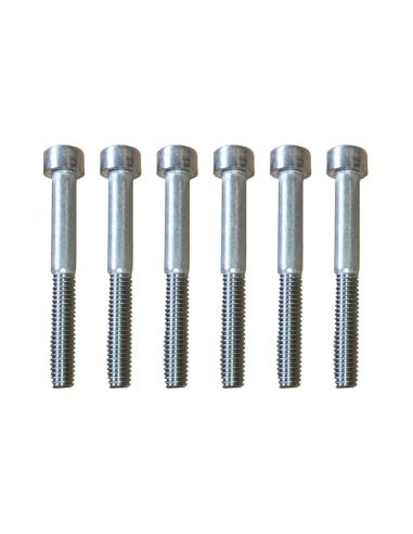 Vis potence Dualtron Mini X6