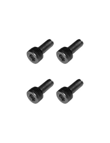 Vis gardes boue Dualtron 4 pcs Dualtron - Minimotors