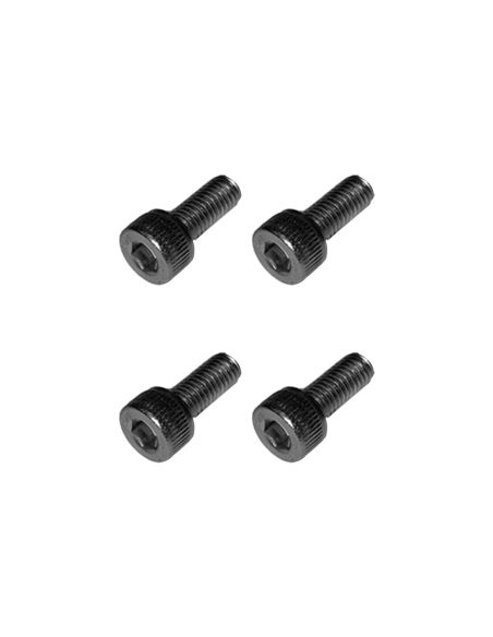 Vis gardes boue Dualtron 4 pcs Dualtron - Minimotors