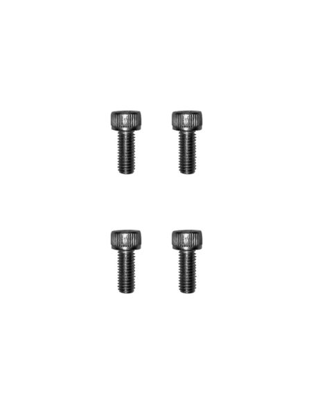 Vis gardes boue Dualtron 4 pcs Dualtron - Minimotors