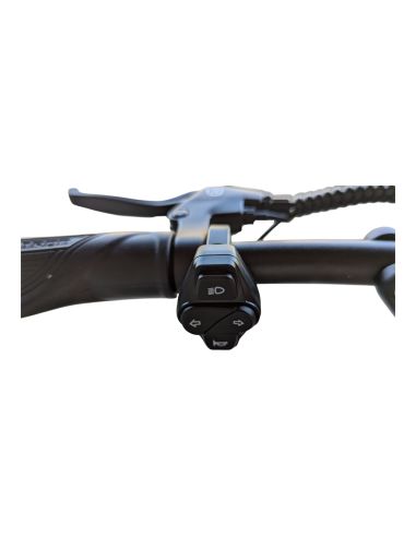 ROVORON R7 60V28AH Dualtron - Minimotors