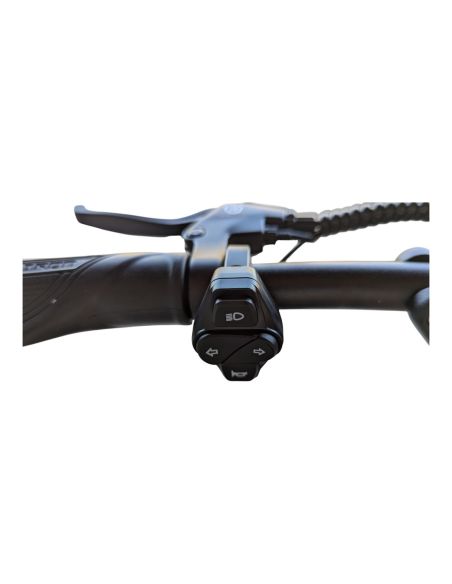 ROVORON R7 60V28AH Dualtron - Minimotors